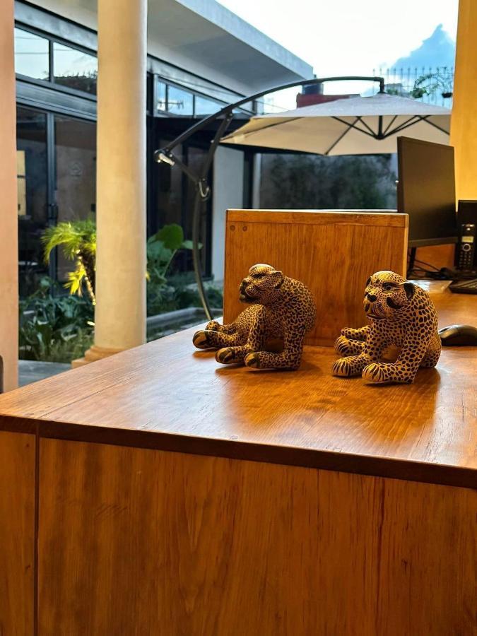 Hotel Boutique Casa San Cristobal San Cristóbal de Las Casas 외부 사진